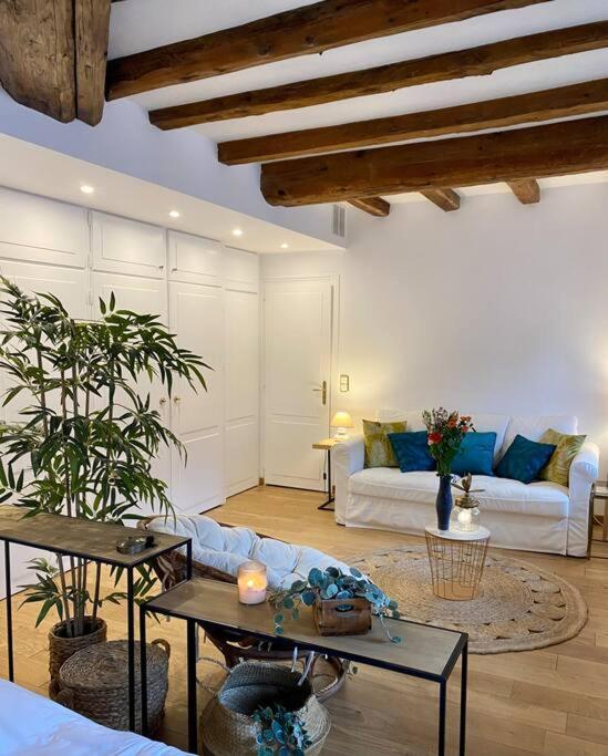 Le Roseau - En Plein Coeur Historique Appartement *
