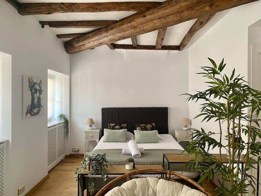 Le Roseau - En Plein Coeur Historique Appartement Annecy