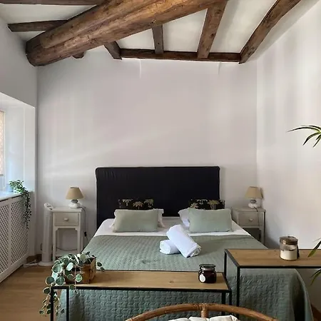 Appartamento Le Roseau - En Plein Coeur Historique Annecy Esterno foto